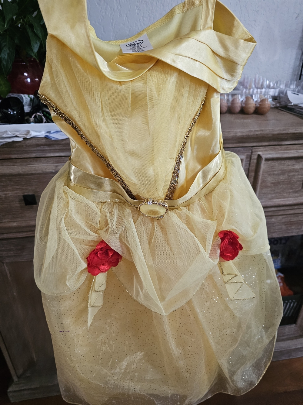 Disney Yellow Princess Tulle Dress with Red Rose Accents
